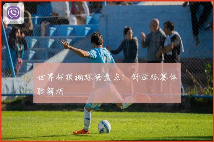 世界杯顶棚球场盘点：舒适观赛体验解析