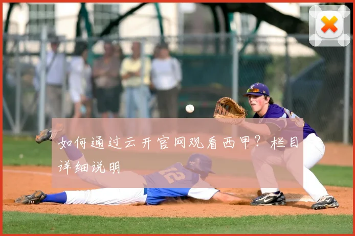 如何通过云开官网观看西甲？栏目详细说明